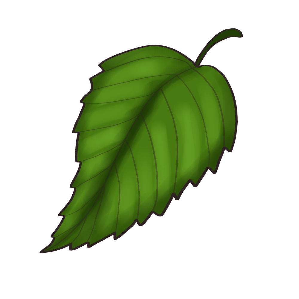 leaffff